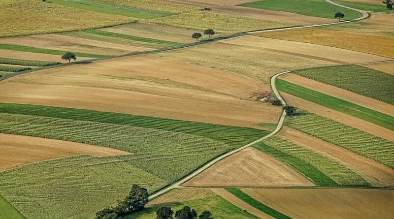 agriculture field-arable-land-nature