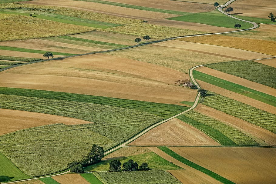 agriculture field-arable-land-nature